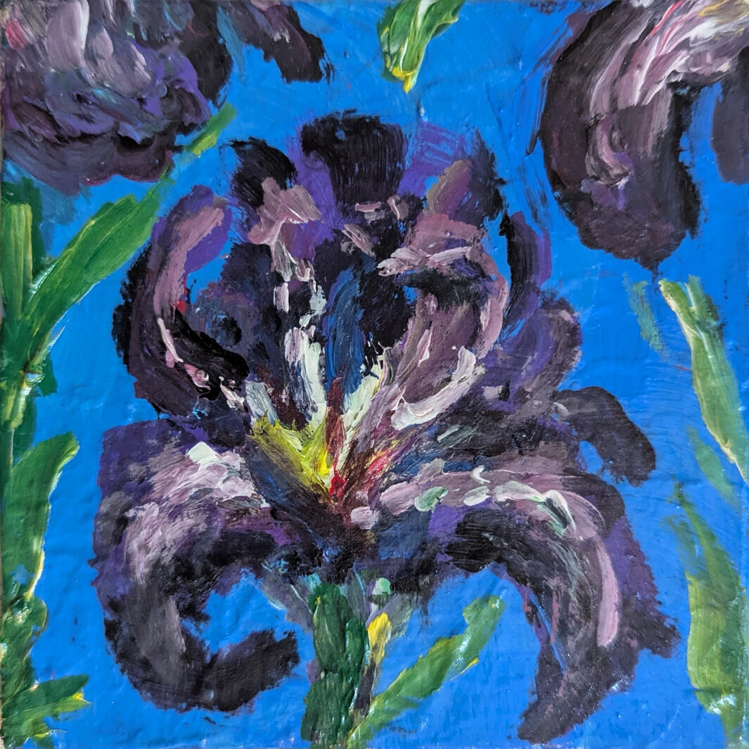 Irises