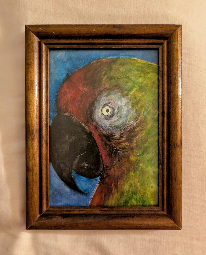 Parrot